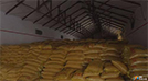 武汉采购360吨黄豆来抗洪，宏天凯泡棉厂来告诉你们原因