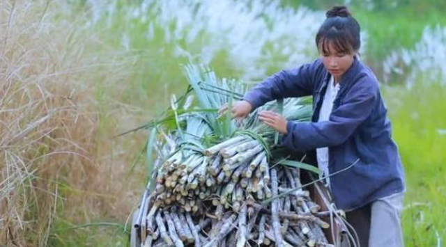 宏天凯泡棉厂家定制